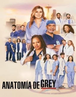 Anatomía de Grey ver series