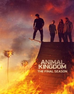 Animal Kingdom ver series