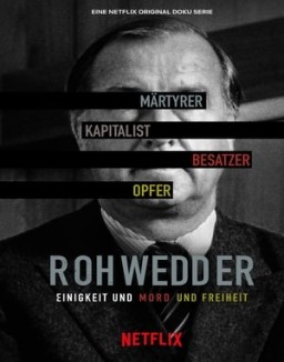 Detlev Rohwedder: Un crimen perfecto ver series