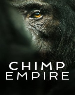 El imperio de los chimpancés ver series