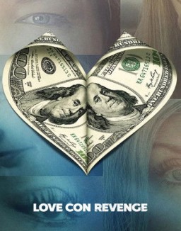 Falso amor y venganza serie gratis