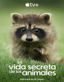 La vida secreta de los animales online gratis