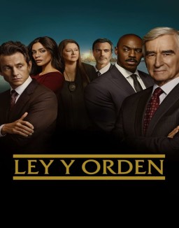 Ley y orden (1990) (Law & Order) ver series
