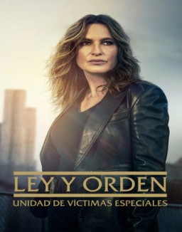 Ley y orden: Unidad de Víctimas Especiales temporada  1 online