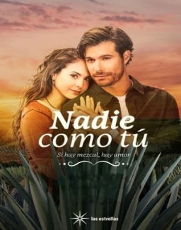 Nadie Como Tú ver series