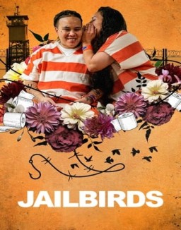 Reas ver series