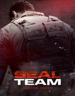 SEAL Team online gratis